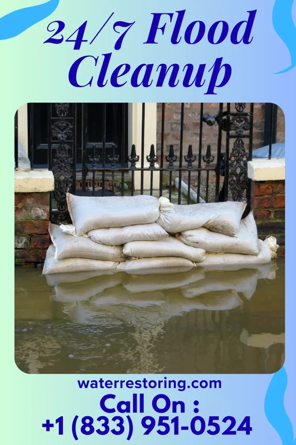24/7 Flood Cleanup in Alexandria, VA
