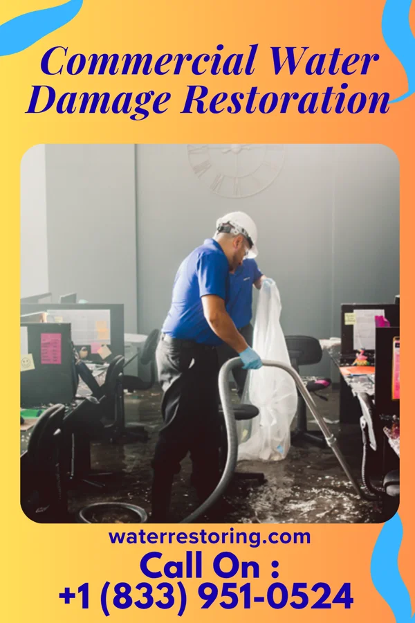 Commercial Water Damage Restoration in Alexandria, VA