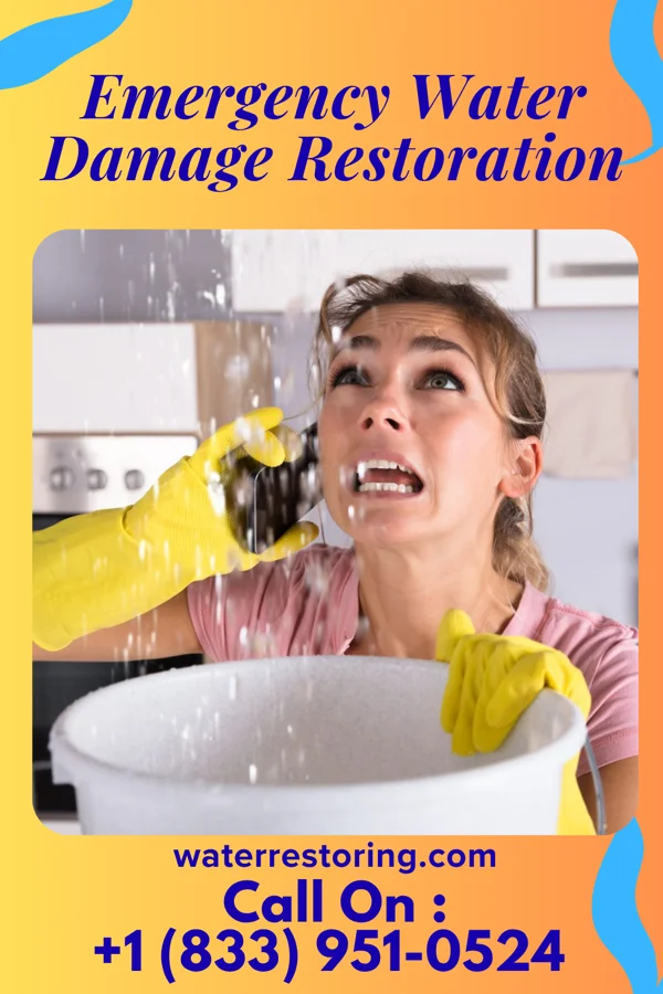 Emergency Water Damage Restoration in Alexandria, VA