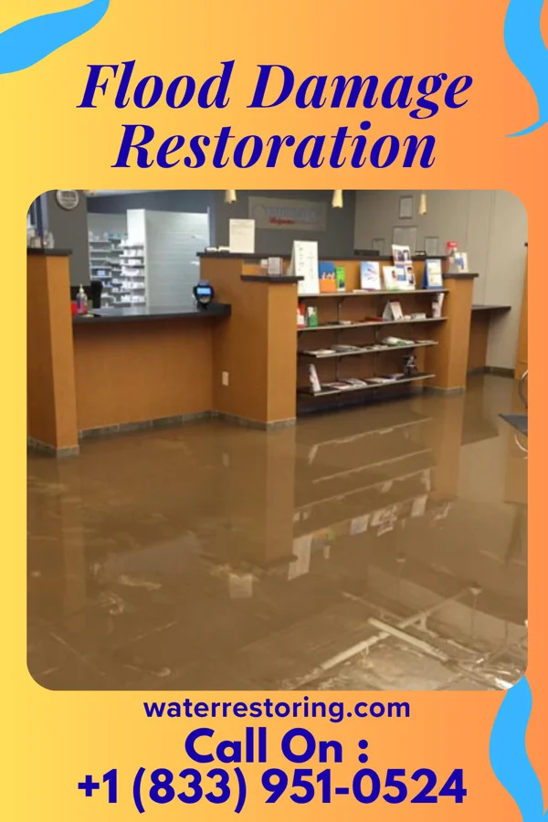 Flood Damage Restoration in Alexandria, VA
