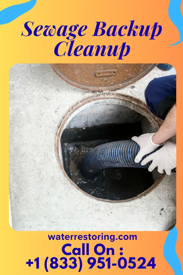 Sewage Backup Cleanup in Alexandria, VA