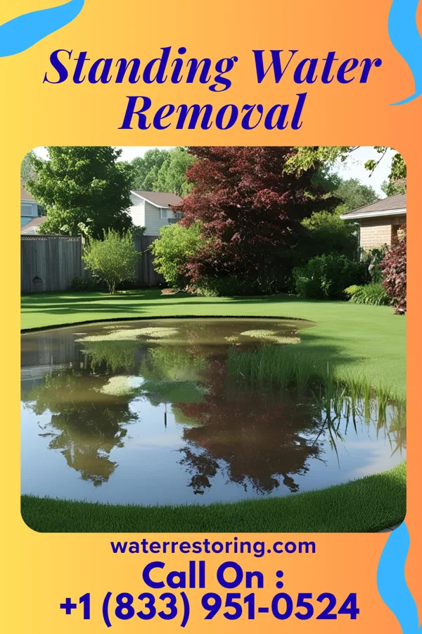 Standing Water Removal in Alexandria, VA